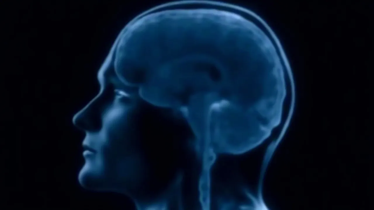 Resonancia magnética funcional del cerebro que muestra actividad en la corteza visual