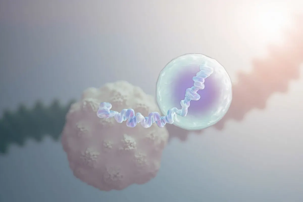 Ilustración de una nanopartícula lipídica que transporta una hebra de ARNm